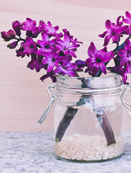 网页攻击器教程