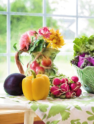 卡密批发价的DDOS压力测试